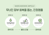 [Graymelin] Madecassoside Ampoule 50ml Korea Cosmetic